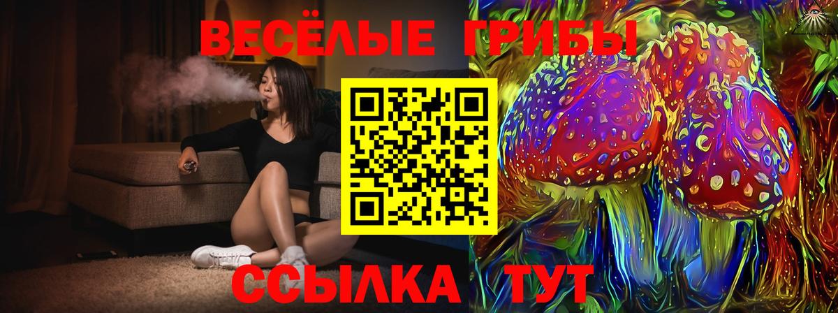 Галлюциногенные грибы прущие грибы  Вход с VPN  Рыбинск 